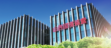 山西国运：数智化人力资源系统标杆
