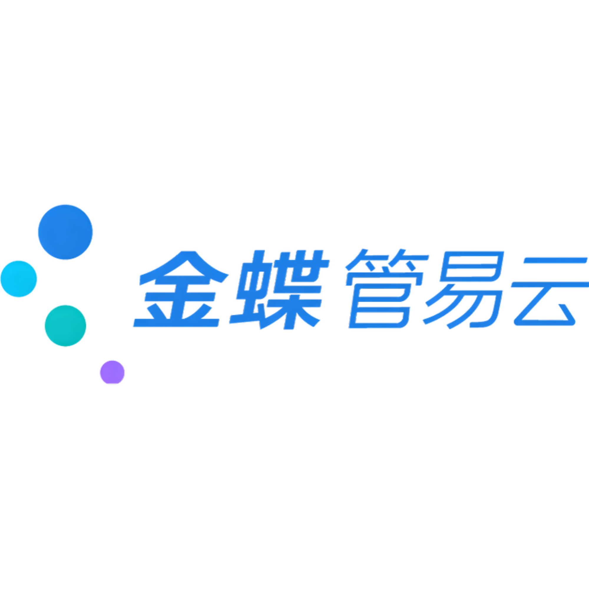 金蝶管易云